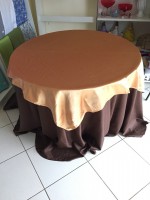 /album/cobre-manchas/cobre-mancha-dourado-cetim-jpg1/